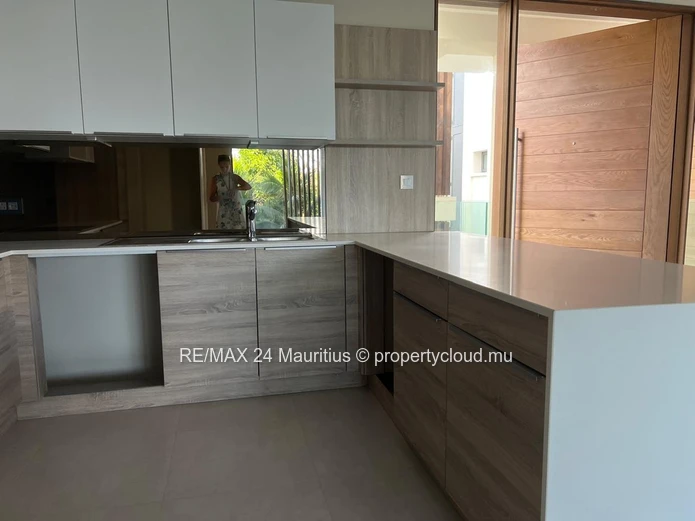 Stunning Two Bedroom Apartment with Private Rooftop Pool in Pointe aux Cannonier!