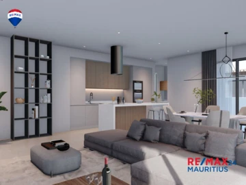 3 Bedroom Penthouse
