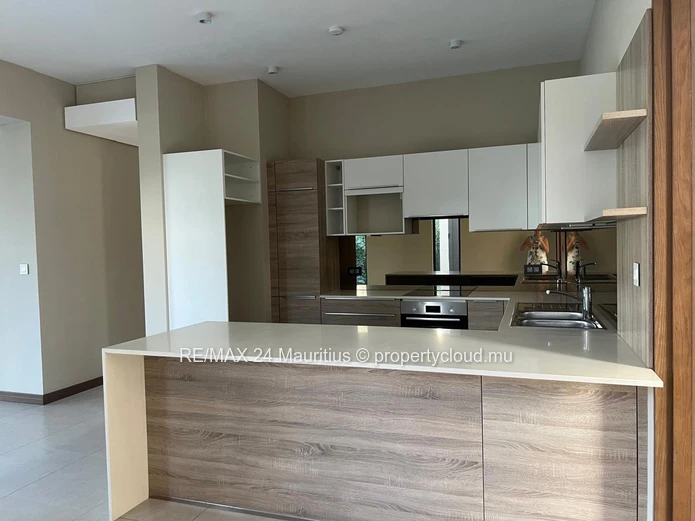 Stunning Two Bedroom Apartment with Private Rooftop Pool in Pointe aux Cannonier!