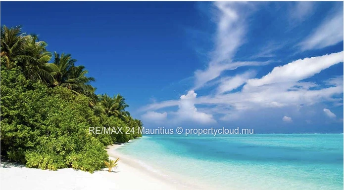 Unique In Mauritius