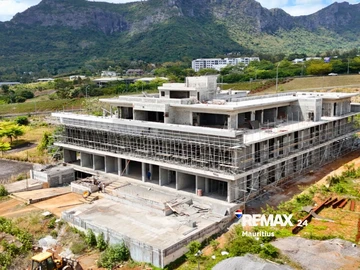 Immobilier Commerciaux