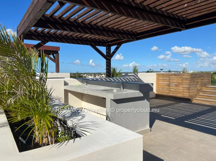 Stunning Two Bedroom Apartment with Private Rooftop Pool in Pointe aux Cannonier!
